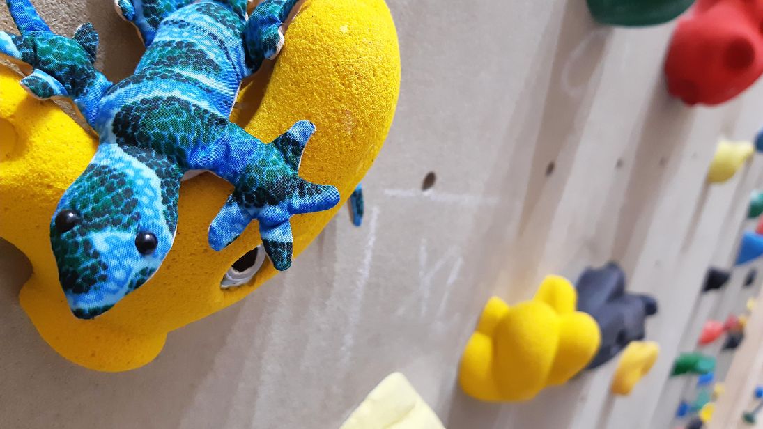 Rettet die Geckos in der Bronx Rock! © Bronx Rock Kletterhalle